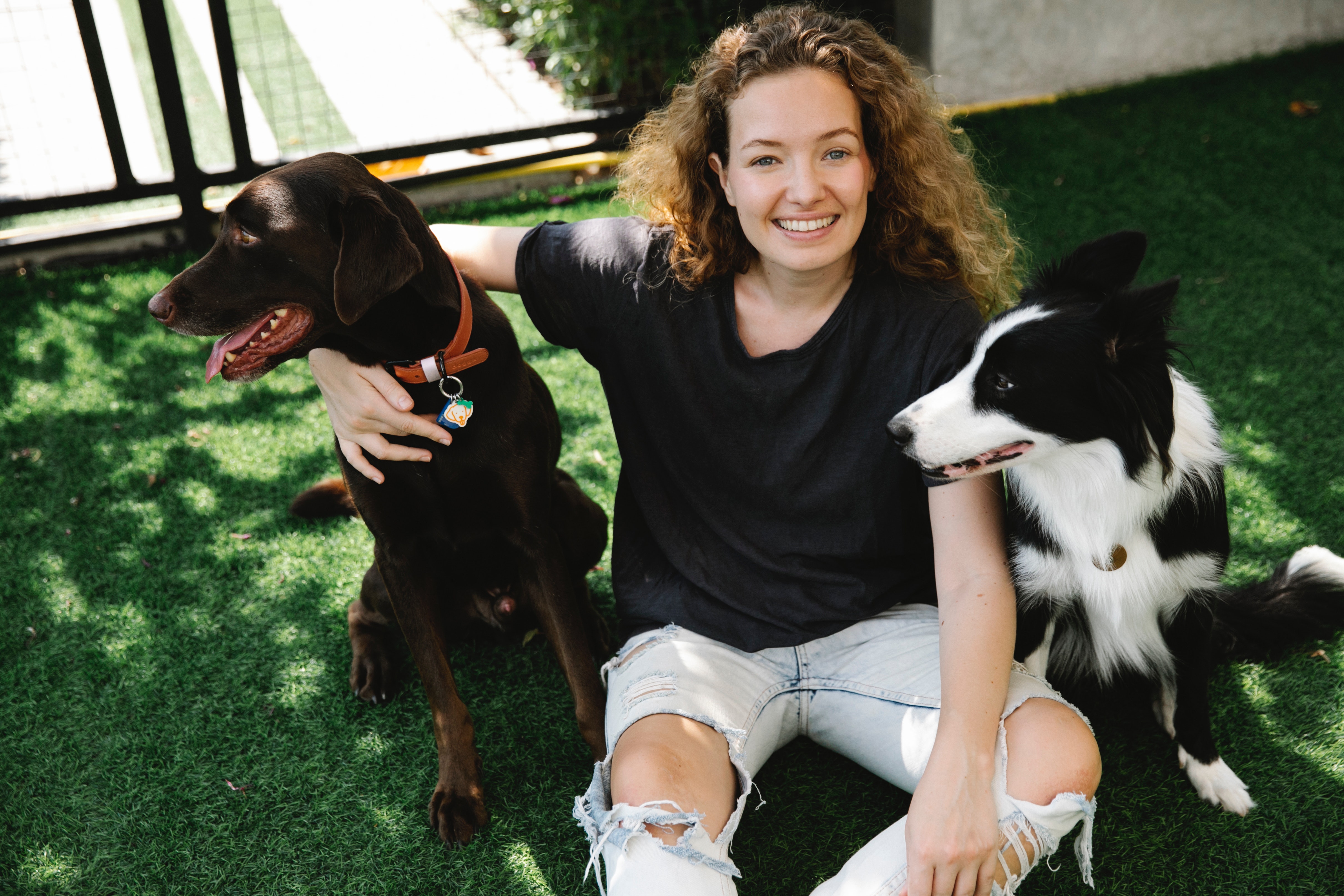 our dog sitter