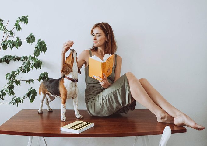 School for dogs